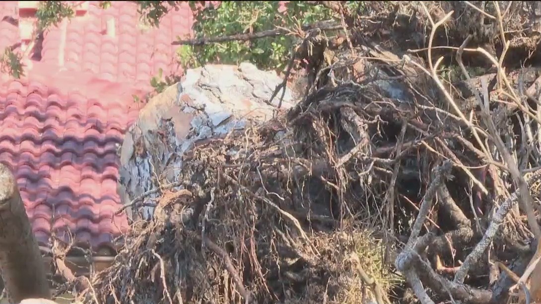 Condo complex struggling with Hurricane Ian debris